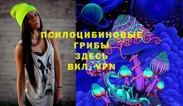 молекула духа Михайловка